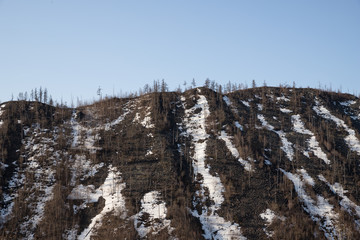 Rocky ridge with dead dry trees and spring snow on the slope.