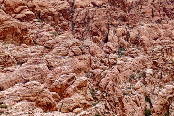 Red Rock Backdrop