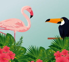tropical toucan and flamish with flowers and leaves
