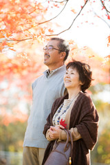 Obraz premium 紅葉を眺めるシニア夫婦