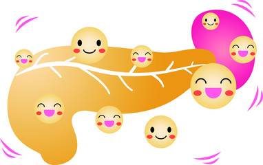 Illustration of a cute pancreas and spleen