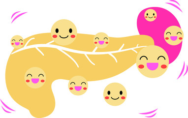 Illustration of a cute pancreas and spleen