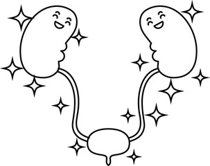 Illustration of cute kidney and bladder outline