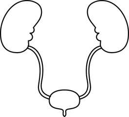 Illustration of cute kidney and bladder outline