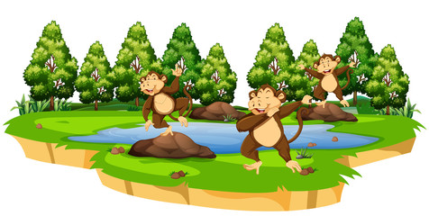 Obraz na płótnie Canvas Monkey in nature scene