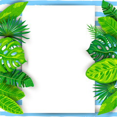 Fototapeta na wymiar Green summer tropical background with exotic leaves, paper sheet. Place for text. Vector illustration for poster, web, flyers, party invitation, sale, ecological concept. Summer and vacation concept.