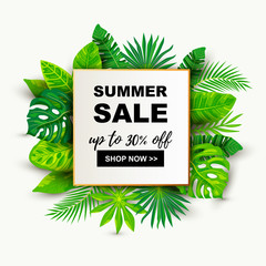 Summer sale banner with tropical leaves. Place for text. Template for poster, web, invitation, flyer.