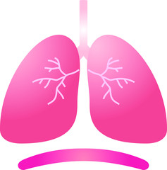 Illustration of a cute lung and diaphragm 