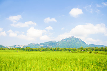 That perfect mountain, cloud and skyscape view with blurred the wide field in the farming season.