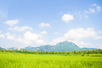 That perfect mountain, cloud and skyscape view with blurred the wide field in the farming season.