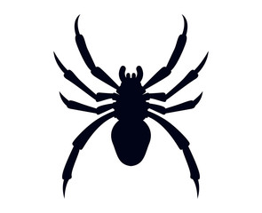Spider silhouette vector illustration