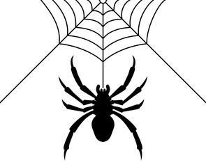 Spider with web silhouette vector illustration