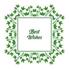 Vector illustration greeting card best wishes with beauty of frame flower pink and leaves green