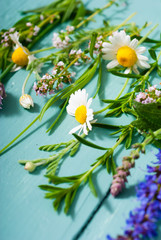 Fototapeta na wymiar herbal flowers on blue wooden table background