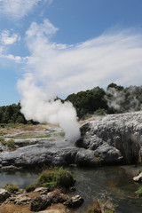 Pohutu Geyser in Te Puia National Park, Rotorua, New Zealand