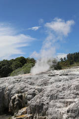 Pohutu Geyser in Te Puia National Park, Rotorua, New Zealand