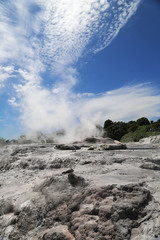 Pohutu Geyser in Te Puia National Park, Rotorua, New Zealand