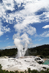 Pohutu Geyser in Te Puia National Park, Rotorua, New Zealand