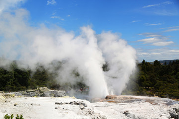 Pohutu Geyser in Te Puia National Park, Rotorua, New Zealand