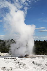 Pohutu Geyser in Te Puia National Park, Rotorua, New Zealand