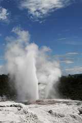 Pohutu Geyser in Te Puia National Park, Rotorua, New Zealand