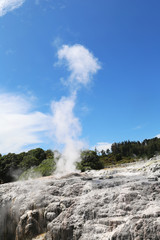 Pohutu Geyser in Te Puia National Park, Rotorua, New Zealand