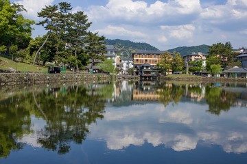 Fototapeta na wymiar Relaxing scene by a lake in Nara, Japan.