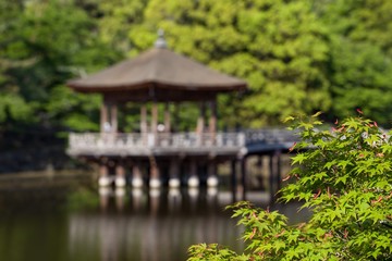 Fototapeta premium Relaxing scene by a lake in Nara, Japan.