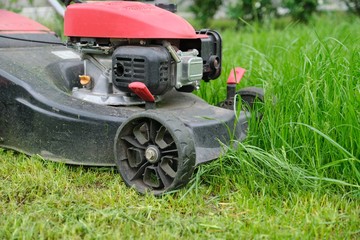 Obraz premium Closeup of lawn mower mowing green grass, city courtyard of an apartment building