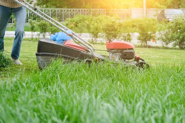 Obraz na płótnie Canvas Lawn mower cutting green grass, gardener with lawnmower working