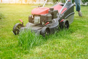 Lawn mower cutting green grass, gardener with lawnmower working