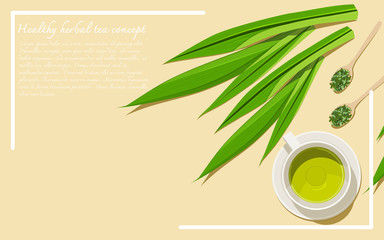Top view of a cup of pandan tea with dried and fresh leaves. Alternative medicine from herbs. Flay lay design vector illustration with copy space.