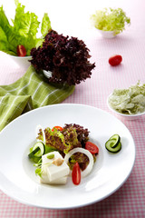 Delicious Japanese cuisine atmosphere, exquisite squid salad