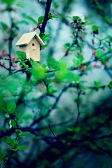 Birdhouse on a blooming tree, tiny nesting box in spring flowers. Creative spring photography with copy space. House buying concept