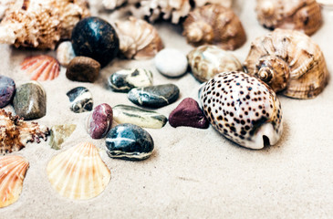 Seashells and stones on the sand, summer beach background travel concept with copy space for text.