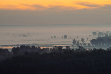 Mystic view on forest under haze at early morning. Mist among tree silhouettes under predawn sky. Gold light reflection in water. Calm morning atmospheric minimalistic landscape of majestic nature.