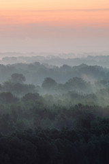 Mystical view from top on forest under haze at early morning. Eerie mist among layers from tree silhouettes in taiga under predawn sky. Morning atmospheric minimalistic landscape of majestic nature.