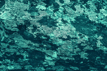 Vintage azure background. Rough painted wall of turquoise color. Imperfect plane of cyan colored. Uneven old decorative toned backdrop of aqzure tint. Texture of teal hue. Ornamental stony surface.