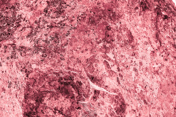 Vintage pink background. Rough painted wall of fiesta color. Imperfect plane of rosy colored. Uneven old decorative toned backdrop of rouge tint. Texture of pink hue. Ornamental stony surface.