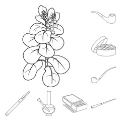 Isolated object of health and nicotine sign. Set of health and statistics vector icon for stock.
