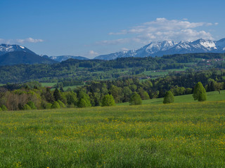 Fototapeta na wymiar Beautiful spring rural mountain landscape in the Bavarian Alps with village and snow covered mountain peaks massif in the background. Bavaria, Germany
