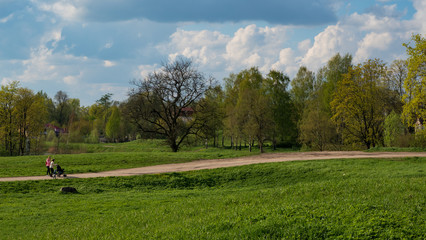 Walking with a baby stroller two women in nature