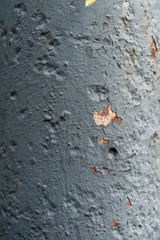 Close-up of gray metal texture from old rusty iron pipe