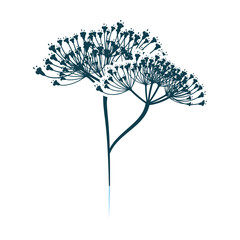 Dill Icon On Gray Background
