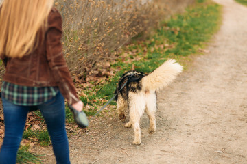 Back view of blond hair woman walk with dog