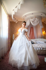 Fototapeta na wymiar Beautiful bride in gorgeous wedding dress