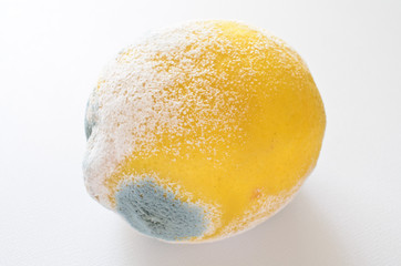 青カビ　レモン