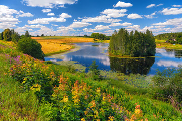 Rural landscape with a lake in summer