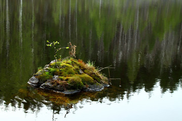 Stone with moss and leaves inside the river