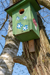 birdhouse on a tree